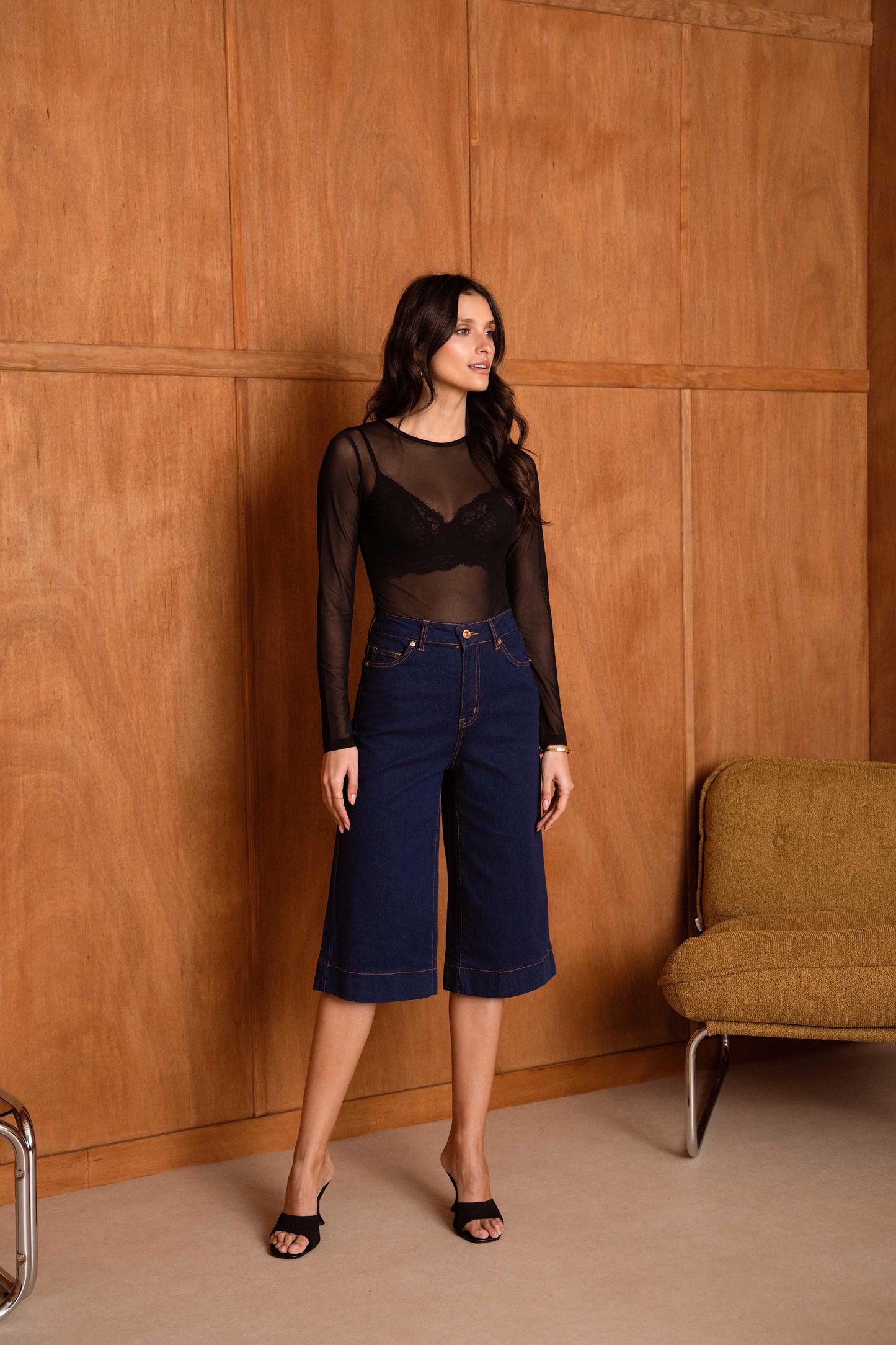 Transparent mesh body